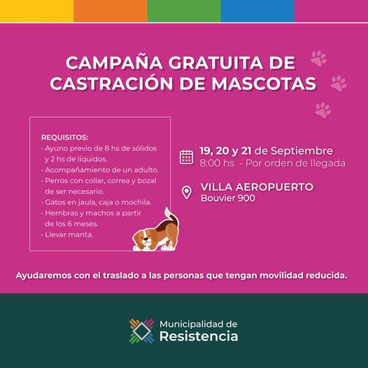 Mi Mascota el quirófano móvil está en Villa Aeropuerto.