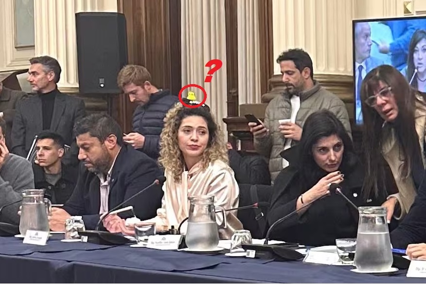 Ridiculez?: La diputada libertaria Lourdes Arrieta fue a reunión de comisión con un patito “viral” en la cabeza