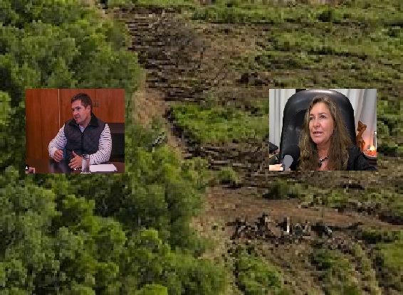 Sin desmonte en el Chaco por tres meses, la justicia federal escuchó al fiscal y abogados ambientalista