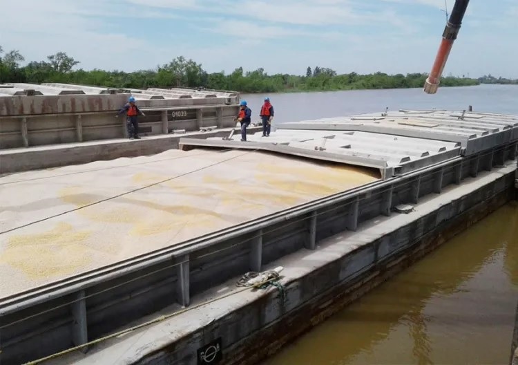  Chaco exportó un 65.2% más en el primer semestre del 2024 en relación al 2023