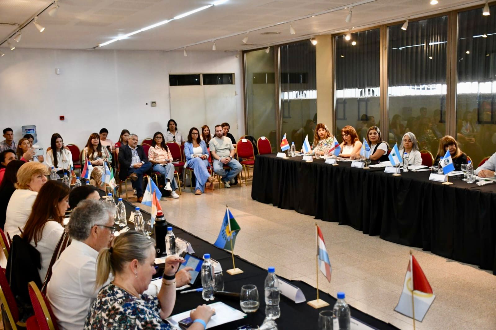 IPRODICH: “NO ESTÁ EN RIESGO LA VIGENCIA DE LOS PASES LIBRES EN EL TRANSPORTE PARA PERSONAS CON DISCAPACIDAD” DIJO MITOIRE