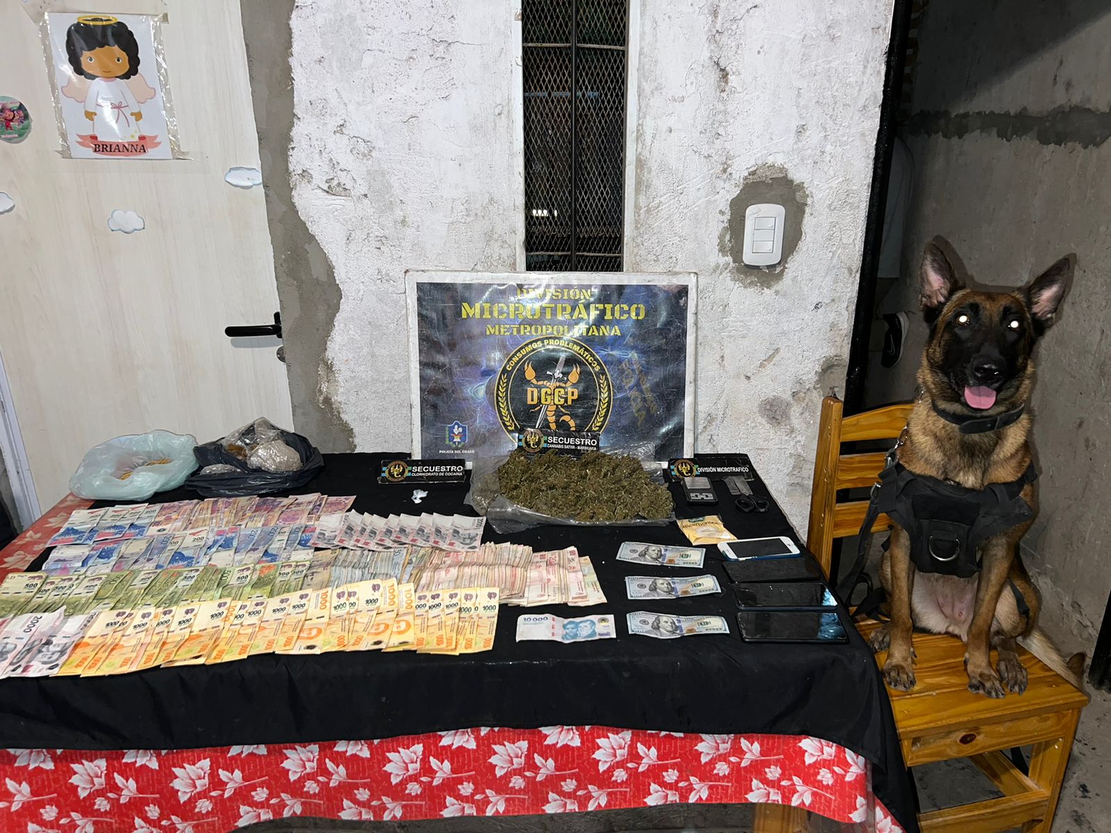 Más de medio kilo de marihuana fue secuestrada en un allanamiento en Resistencia
