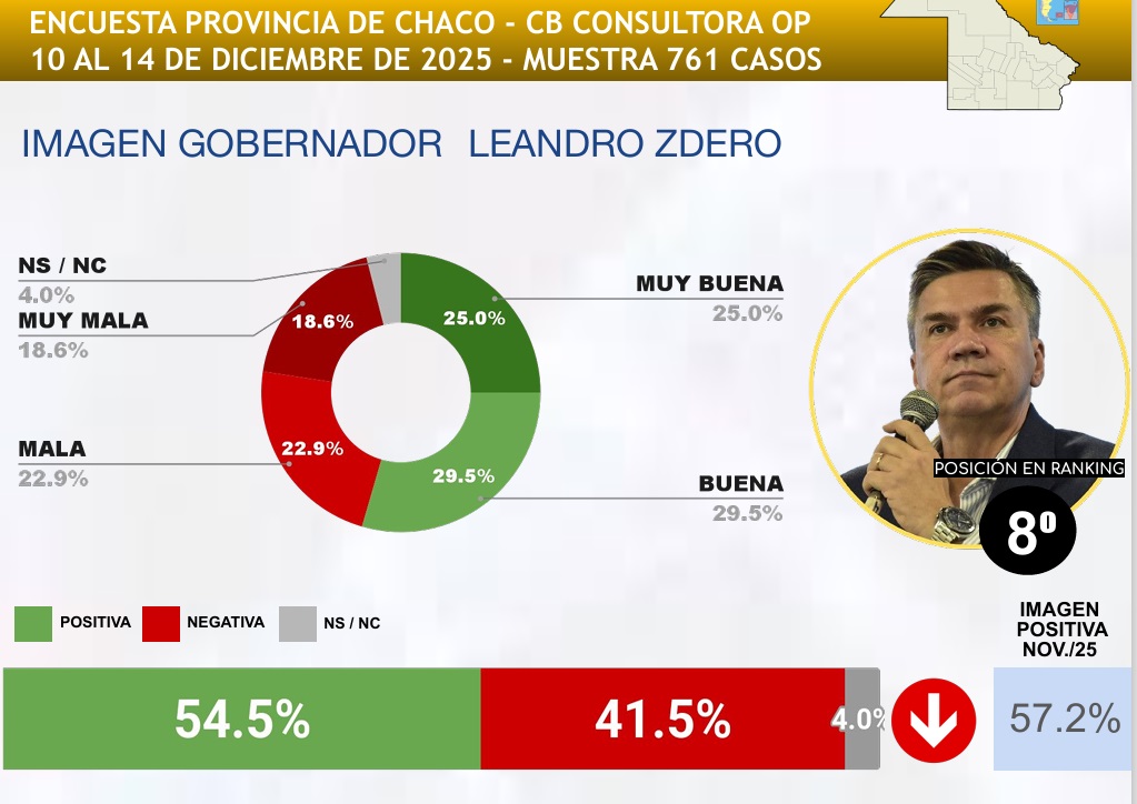 Importante caída en la imagen del gobernador Leandro Zdero