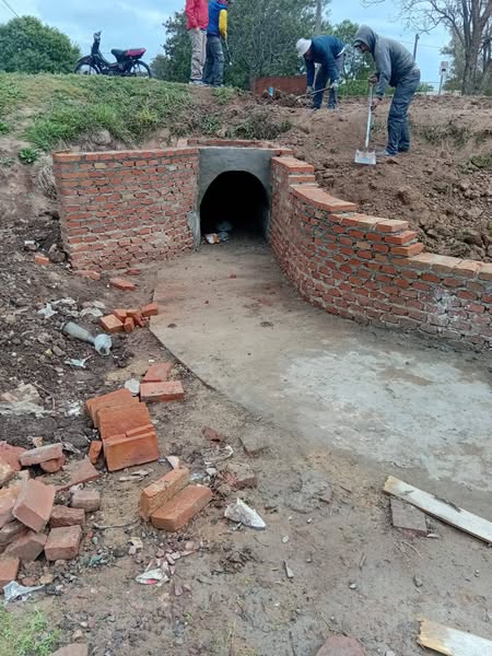 Campo Largo: Avanzan las obras en la zona de la laguna lindante de la Escuela 648