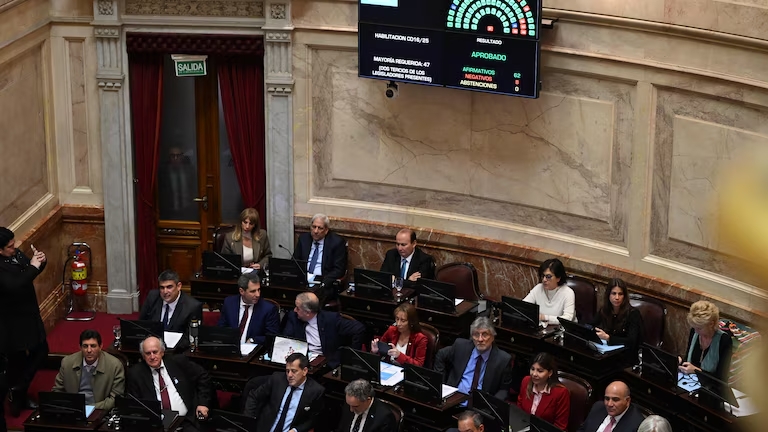 Senado: la oposición dejó sin efecto el veto de Milei y reactivó la ley de emergencia en discapacidad